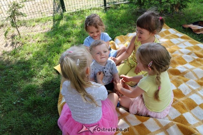 Piknik rodzinny z Krainie Misiów [05.06.2018] - zdjęcie #67 - eOstroleka.pl