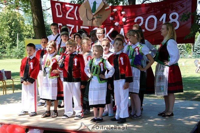 Ostrołęka: Dzień Dziecka z TPD [07.06.2018] - zdjęcie #4 - eOstroleka.pl