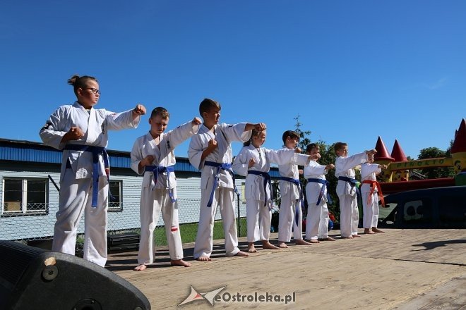 Piknik rodzinny z okazji Dnia Dziecka z Radą Osiedla Łęczysk [08.06.2018] - zdjęcie #37 - eOstroleka.pl