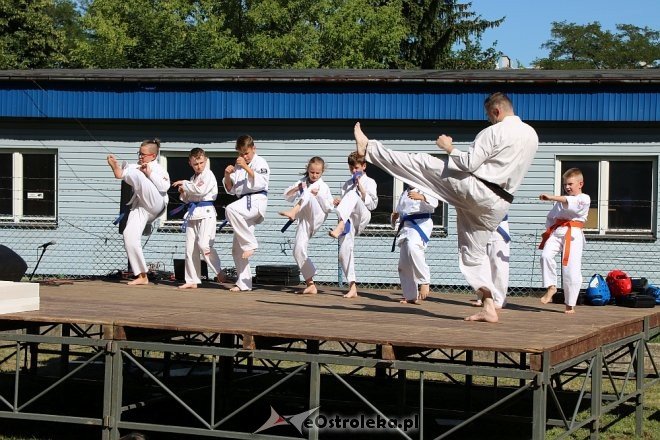 Piknik rodzinny z okazji Dnia Dziecka z Radą Osiedla Łęczysk [08.06.2018] - zdjęcie #26 - eOstroleka.pl