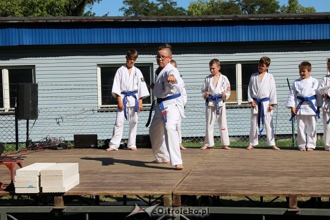 Piknik rodzinny z okazji Dnia Dziecka z Radą Osiedla Łęczysk [08.06.2018] - zdjęcie #16 - eOstroleka.pl