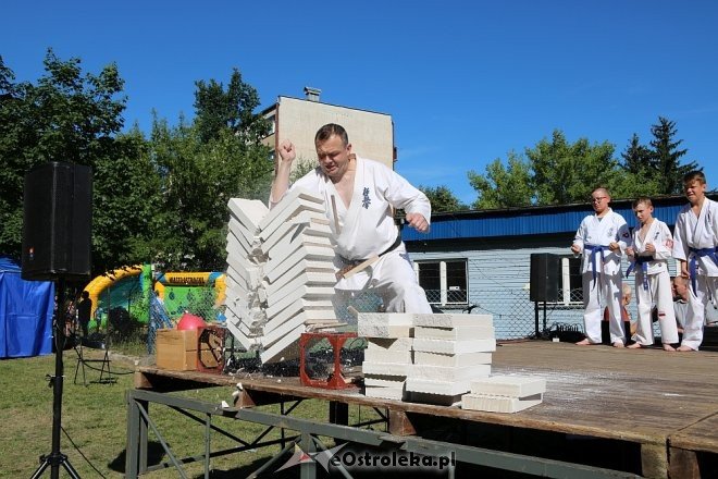 Piknik rodzinny z okazji Dnia Dziecka z Radą Osiedla Łęczysk [08.06.2018] - zdjęcie #9 - eOstroleka.pl