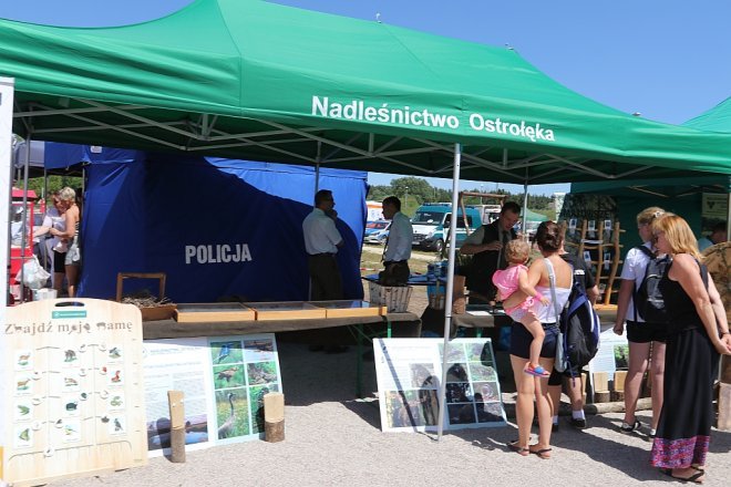 Festyn na plaży miejskiej [09.06.2018] - zdjęcie #69 - eOstroleka.pl