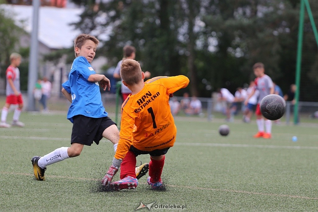 APN Cup 2018 [16.06.2018] - zdjęcie #13 - eOstroleka.pl