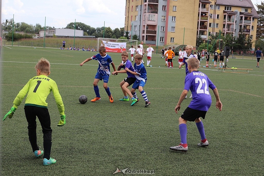 APN Cup 2018 [16.06.2018] - zdjęcie #11 - eOstroleka.pl