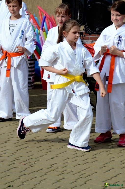 Wesele Kurpiowskie w Kadzidle: Dzień pierwszy i piknik rodzinny [15.06.2018] - zdjęcie #98 - eOstroleka.pl