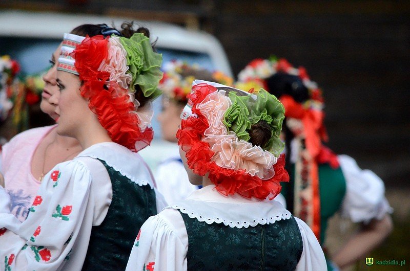 Wesele Kurpiowskie 2018: Panel dyskusyjny, występy artystyczne i Zorka [16.06.2018] - zdjęcie #179 - eOstroleka.pl