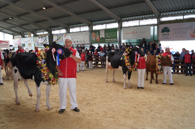 Wystawa w Szepietowie, jak zawsze-udana - zdjęcie #9 - eOstroleka.pl