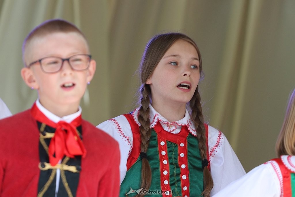 Święto Folkloru Kurpiowskiego w Zawadach [08.07.2018] - zdjęcie #24 - eOstroleka.pl