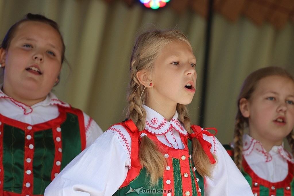 Święto Folkloru Kurpiowskiego w Zawadach [08.07.2018] - zdjęcie #25 - eOstroleka.pl