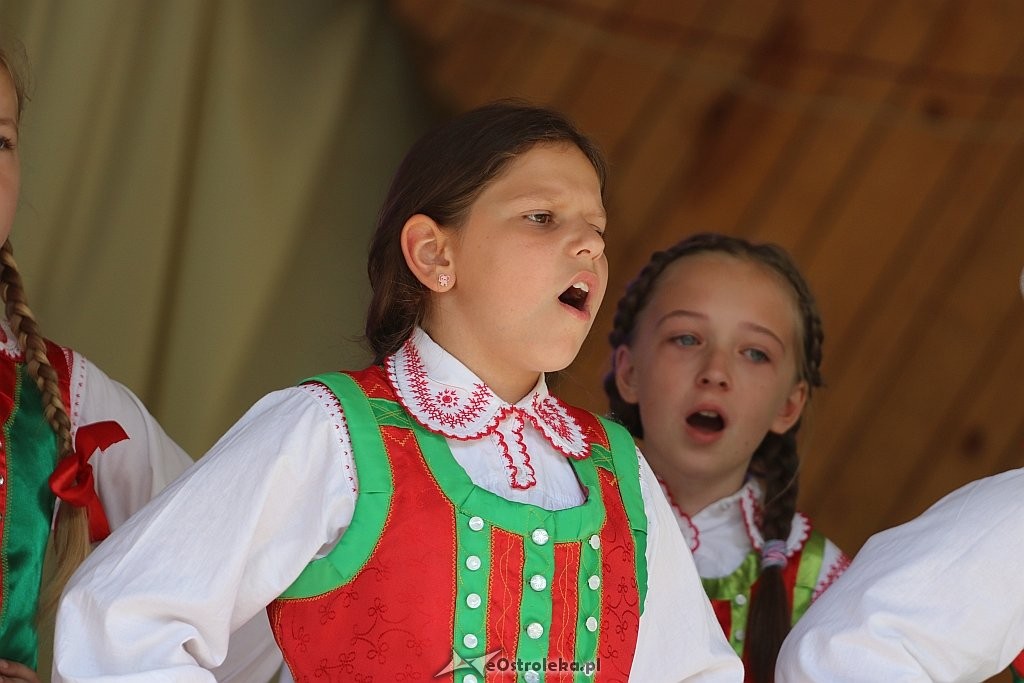Święto Folkloru Kurpiowskiego w Zawadach [08.07.2018] - zdjęcie #26 - eOstroleka.pl