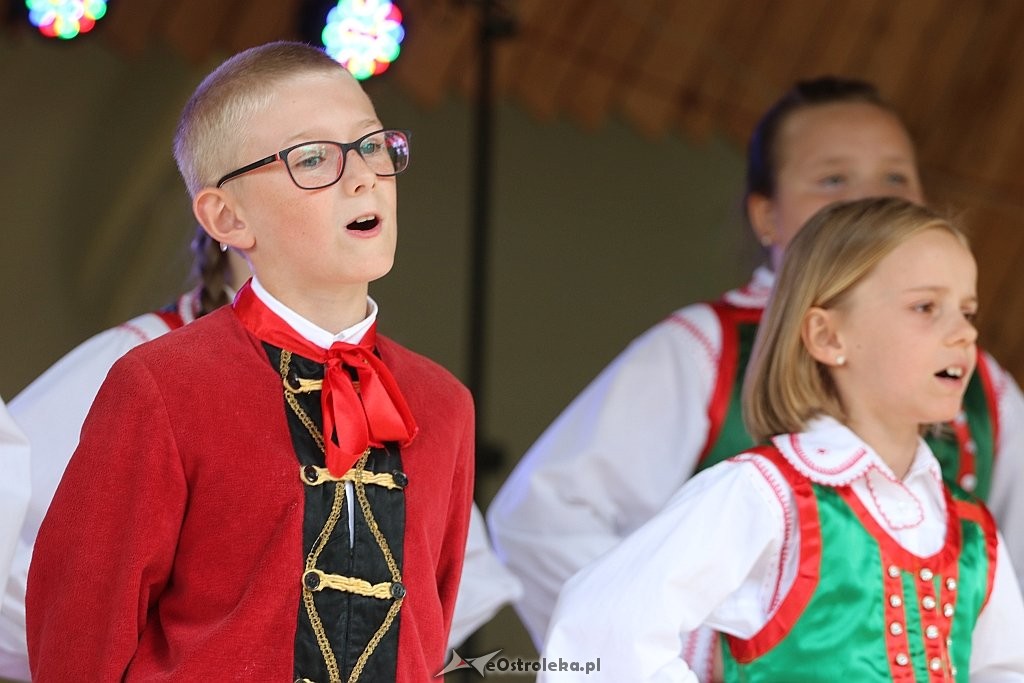 Święto Folkloru Kurpiowskiego w Zawadach [08.07.2018] - zdjęcie #29 - eOstroleka.pl