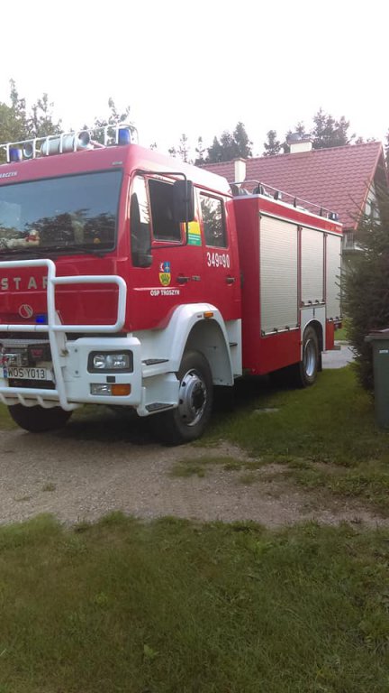 Rabędy: Strażacy usuwali gniazdo szerszeni [17.08.2018] - zdjęcie #5 - eOstroleka.pl
