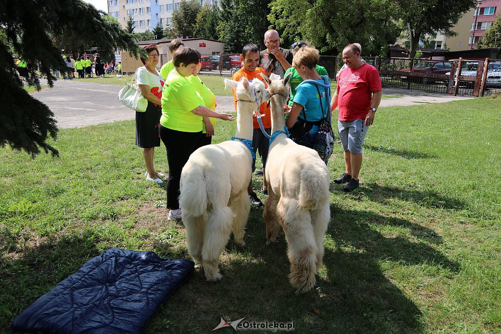 Ostrołęka: Podopieczni ŚDS-ów rywalizowali w bocce [21.08.2018] - zdjęcie #14 - eOstroleka.pl