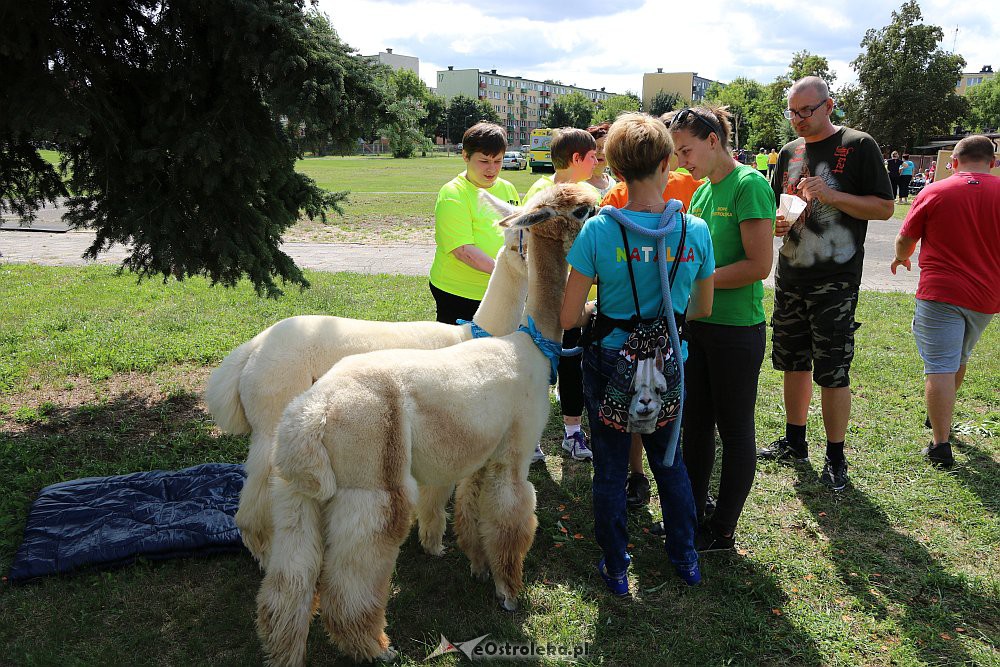 Ostrołęka: Podopieczni ŚDS-ów rywalizowali w bocce [21.08.2018] - zdjęcie #13 - eOstroleka.pl