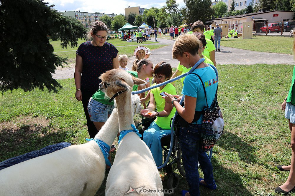 Ostrołęka: Podopieczni ŚDS-ów rywalizowali w bocce [21.08.2018] - zdjęcie #7 - eOstroleka.pl