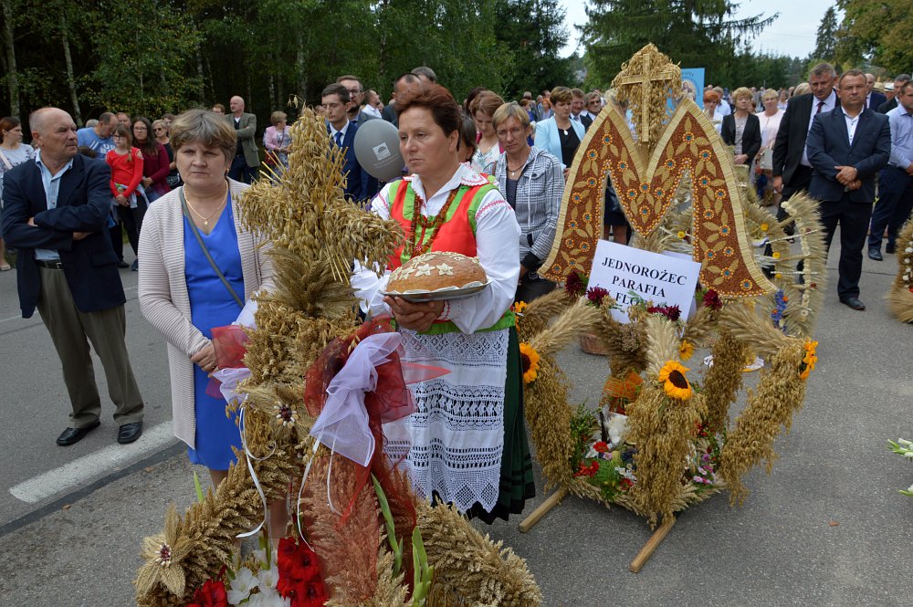 Dożynki Diecezjalne 2018 w Dąbrówce [09.09.2018] - zdjęcie #66 - eOstroleka.pl