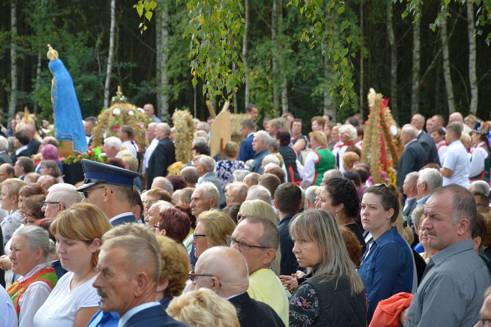 Dożynki Diecezjalne 2018 w Dąbrówce [09.09.2018] - zdjęcie #58 - eOstroleka.pl