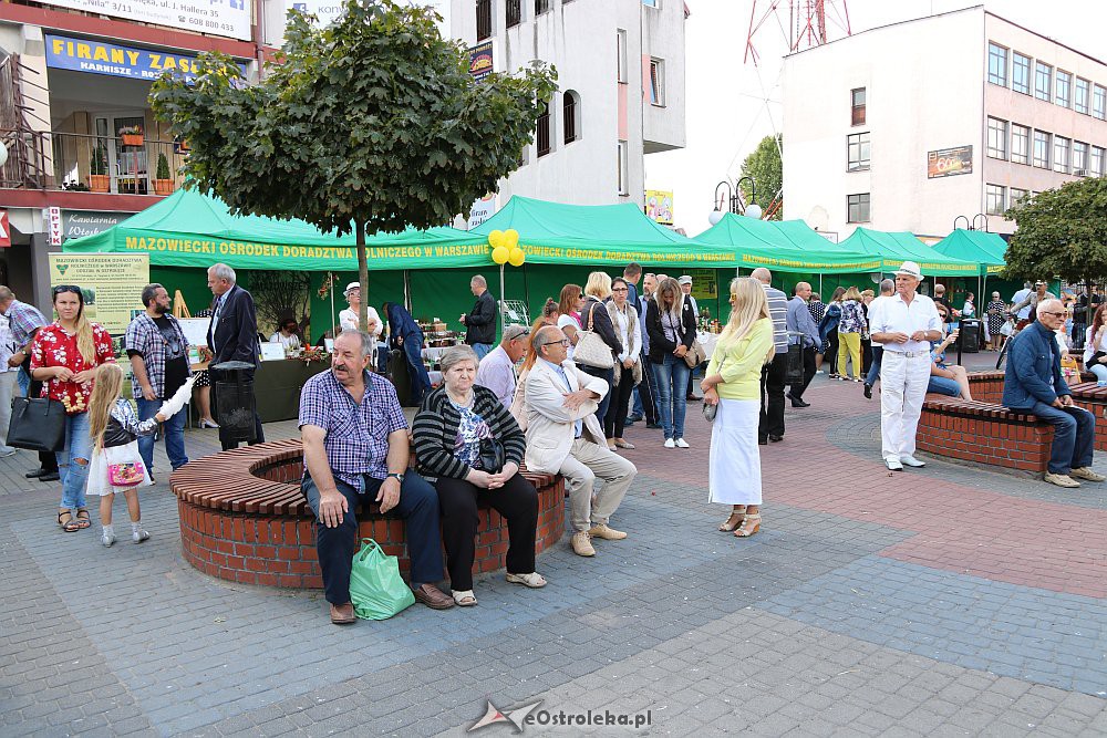 XII Kurpiowskie Targi Rolnicze [16.09.2018] - zdjęcie #115 - eOstroleka.pl