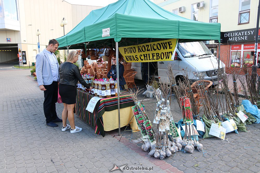 XII Kurpiowskie Targi Rolnicze [16.09.2018] - zdjęcie #56 - eOstroleka.pl