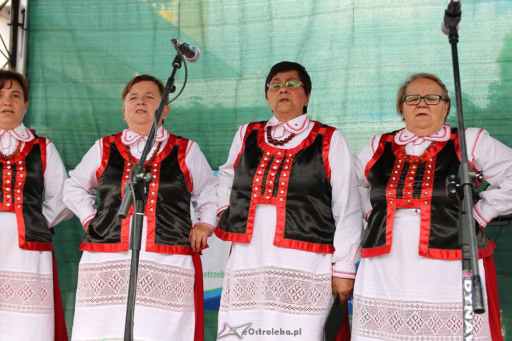 XII Kurpiowskie Targi Rolnicze [16.09.2018] - zdjęcie #190 - eOstroleka.pl