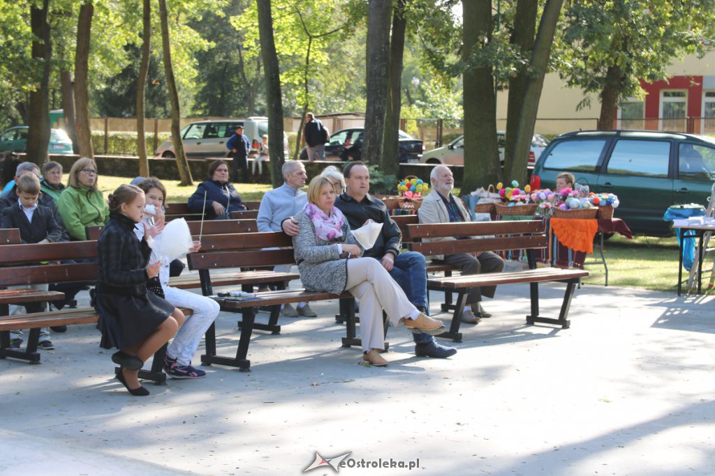Festyn „Spotkajmy się w Parku” [30.09.2018] - zdjęcie #9 - eOstroleka.pl