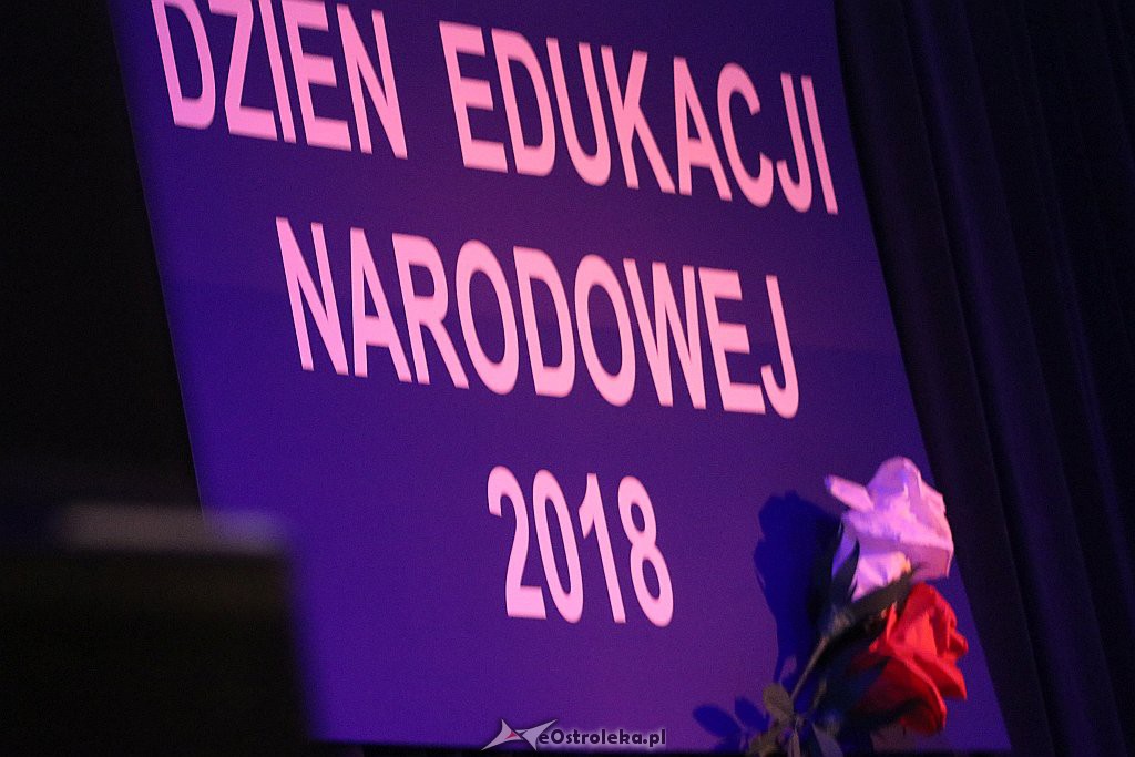 Dzień Edukacji Narodowej w Ostrołęce [15.10.2018] - zdjęcie #64 - eOstroleka.pl