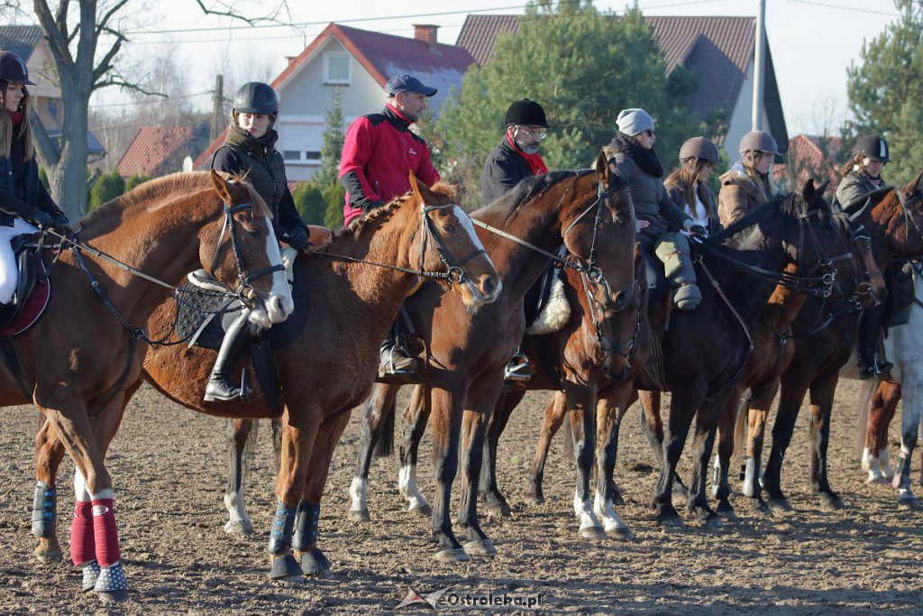 W pogoni za lisem – Hubertus w Dzbeninie [17.11.2018] - zdjęcie #18 - eOstroleka.pl