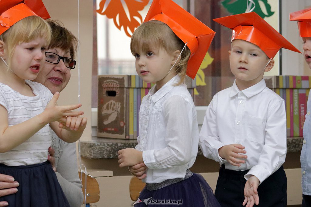 Pasowanie na przedszkolaka w Krainie Misiów [18.11.2018] - zdjęcie #19 - eOstroleka.pl