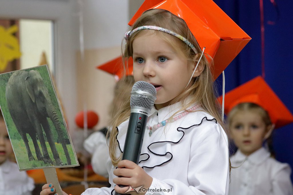 Pasowanie na przedszkolaka w Krainie Misiów [18.11.2018] - zdjęcie #69 - eOstroleka.pl