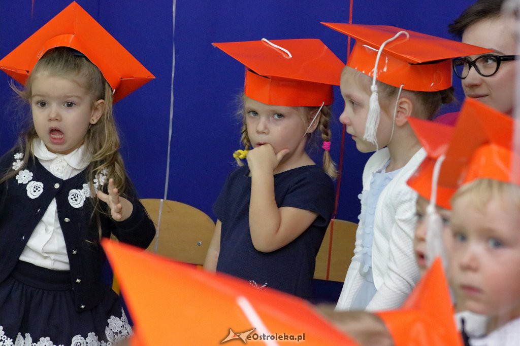 Pasowanie na przedszkolaka w Krainie Misiów [18.11.2018] - zdjęcie #73 - eOstroleka.pl