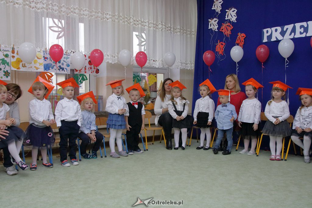 Pasowanie na przedszkolaka w Krainie Misiów [18.11.2018] - zdjęcie #77 - eOstroleka.pl