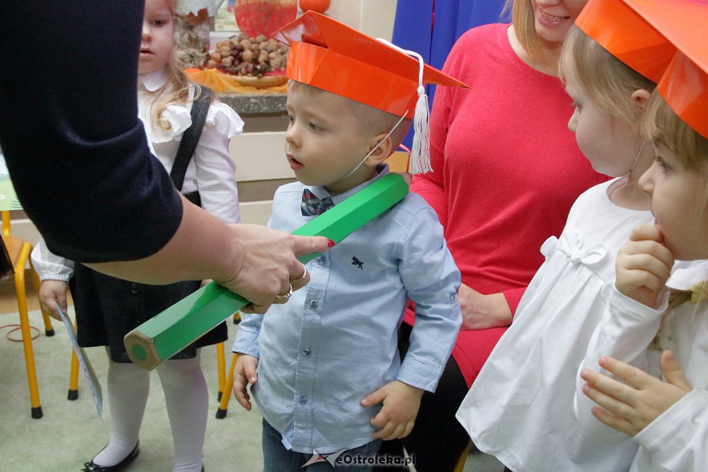 Pasowanie na przedszkolaka w Krainie Misiów [18.11.2018] - zdjęcie #28 - eOstroleka.pl