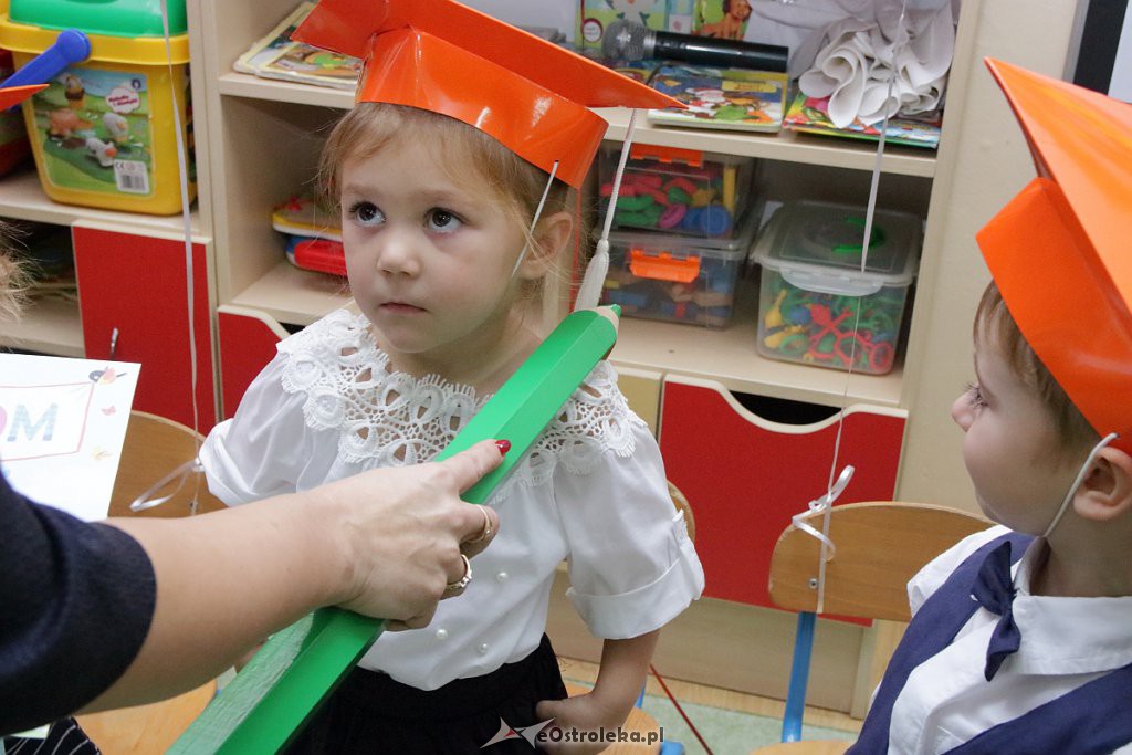 Pasowanie na przedszkolaka w Krainie Misiów [18.11.2018] - zdjęcie #105 - eOstroleka.pl