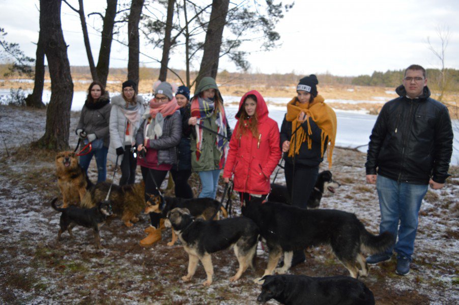 Łyse: Uczniowie zebrali ponad pół tony karmy i akcesoriów dla bezdomnych zwierząt [11.02.2019] - zdjęcie #6 - eOstroleka.pl