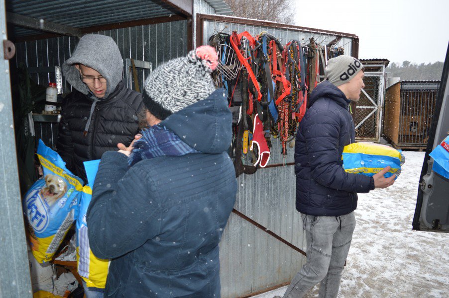Łyse: Uczniowie zebrali ponad pół tony karmy i akcesoriów dla bezdomnych zwierząt [11.02.2019] - zdjęcie #10 - eOstroleka.pl