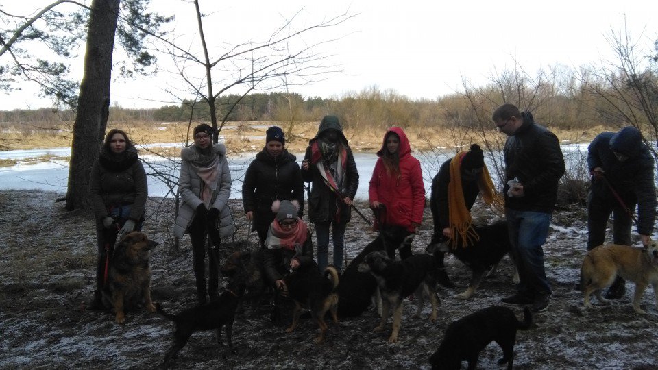 Łyse: Uczniowie zebrali ponad pół tony karmy i akcesoriów dla bezdomnych zwierząt [11.02.2019] - zdjęcie #12 - eOstroleka.pl