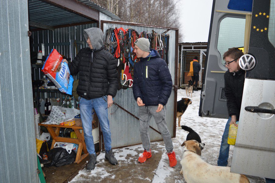Łyse: Uczniowie zebrali ponad pół tony karmy i akcesoriów dla bezdomnych zwierząt [11.02.2019] - zdjęcie #20 - eOstroleka.pl