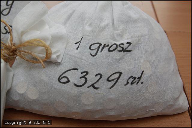 Rekordowy wynik akcji „Góra Grosza „ w ZSZ nr 1 [06.03.2019] - zdjęcie #10 - eOstroleka.pl