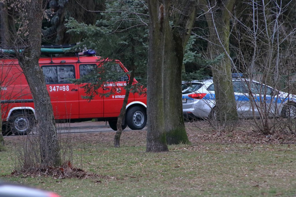 Nad Narwią w Ostrołęce trwa poszukiwanie zaginionego mężczyzny [18.03.2019] - zdjęcie #6 - eOstroleka.pl