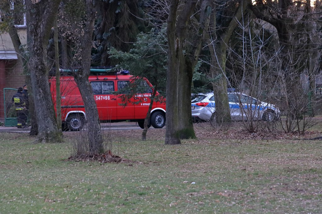 Nad Narwią w Ostrołęce trwa poszukiwanie zaginionego mężczyzny [18.03.2019] - zdjęcie #7 - eOstroleka.pl