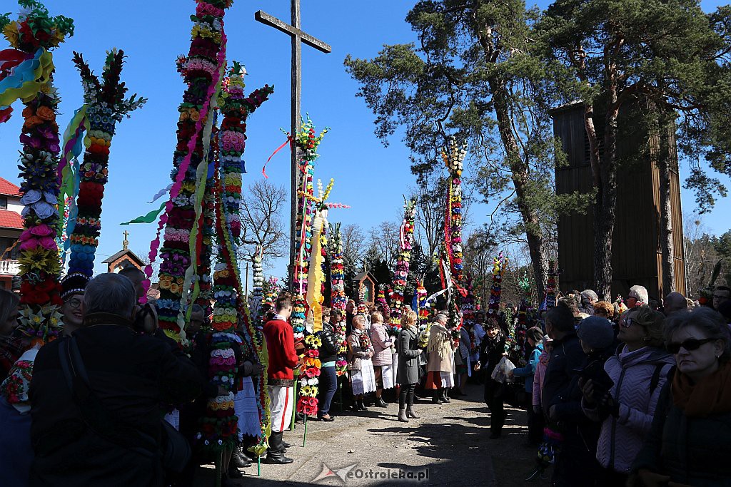 Niedziela Palmowa w Łysych [14.4.2019] - zdjęcie #65 - eOstroleka.pl