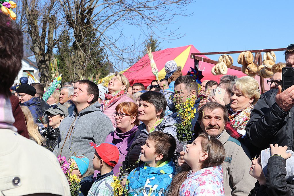 Niedziela Palmowa w Łysych [14.4.2019] - zdjęcie #57 - eOstroleka.pl