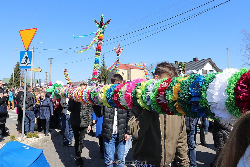 Niedziela Palmowa w Łysych [14.4.2019] - zdjęcie #48 - eOstroleka.pl