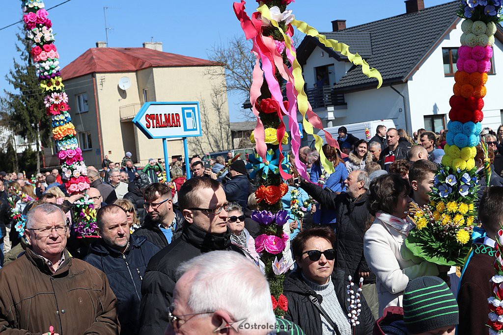 Niedziela Palmowa w Łysych [14.4.2019] - zdjęcie #133 - eOstroleka.pl