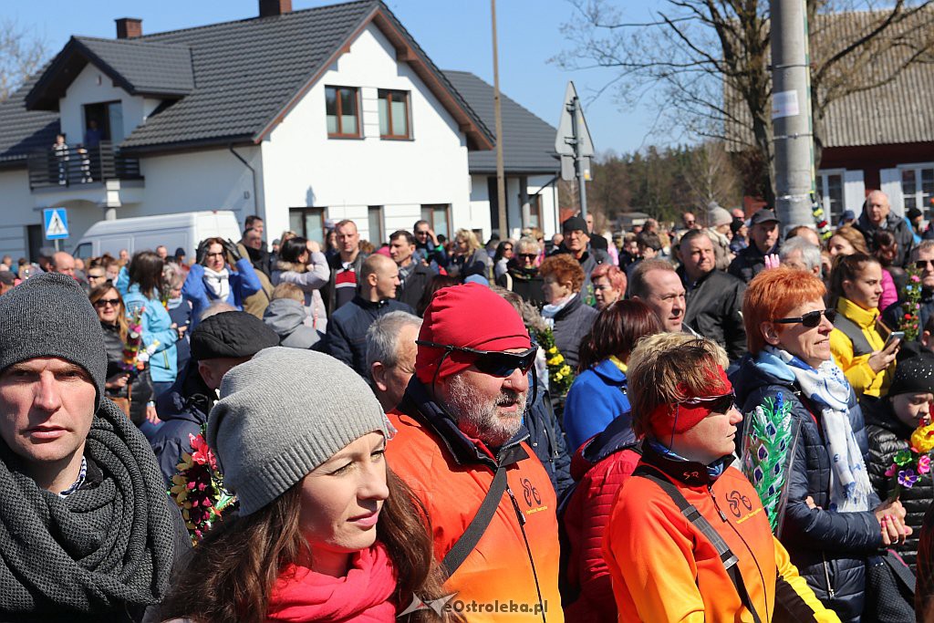 Niedziela Palmowa w Łysych [14.4.2019] - zdjęcie #37 - eOstroleka.pl