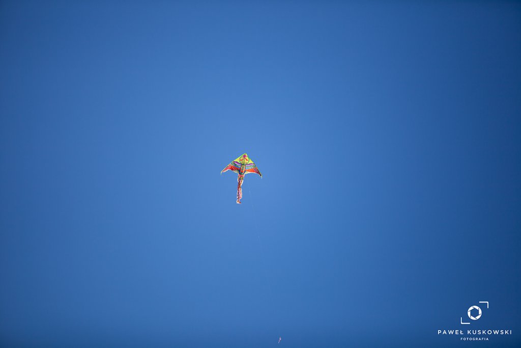 Niedziela Palmowa w Łysych [14.4.2019] - zdjęcie #9 - eOstroleka.pl