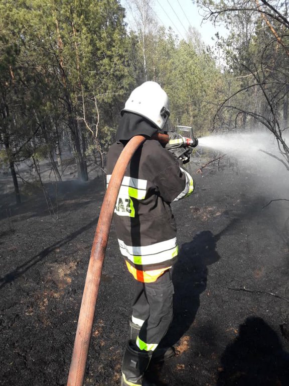 Pożar lasu w Golance [24.04.2019] - zdjęcie #7 - eOstroleka.pl