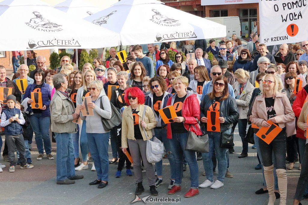 Wiec poparcia dla nauczycieli w Ostrołęce [24.04.2019] - zdjęcie #45 - eOstroleka.pl