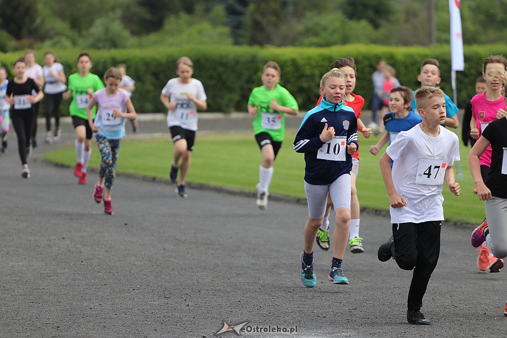 Półmaraton Kurpiowski 2019 - 26.05.2019 - zdjęcie #161 - eOstroleka.pl